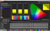 Adaptable screen: ColorChecker (sRGB)