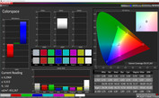 CalMAN Colorspace