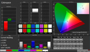 CalMAN Colorspace