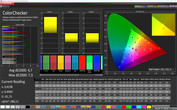 Profile "Basic": CalMAN ColorChecker sRGB