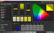 Profile "Basic": CalMAN Saturation Sweeps sRGB