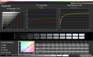 CalMAN Grayscale (target color space: sRGB)