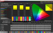 CalMAN ColorChecker (Colorful/Cool/sRGB)