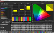 CalMAN ColorChecker: Cool