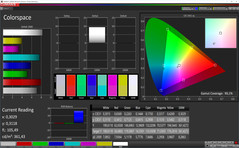 CalMAN Colorspace (profile: Intense, target color space AdobeRGB)