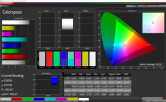 CalMAN Colorspace (profile: Intense, target color space AdobeRGB)