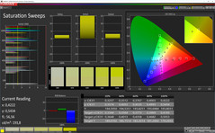 CalMAN Saturation Sweeps (profile: Standard, target color space sRGB)