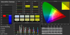 CalMAN Saturation Sweeps - strong shifts