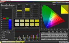 Saturation Sweeps (profile: Photo, target color space: sRGB)