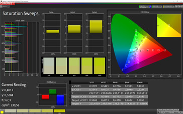 CalMAN Saturation (target sRGB)