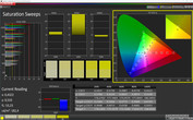 CalMAN Saturation Sweeps (target color space: sRGB)