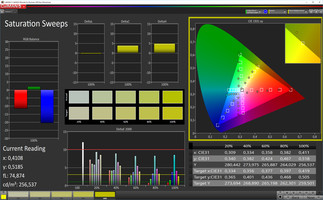 CalMAN Saturation Sweeps (target color space: sRGB)