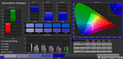 CalMAN Saturation Sweeps sRGB