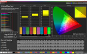 CalMAN ColorChecker: Standard