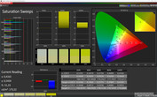 CalMAN Saturation"Standard"