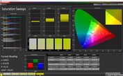 CalMAN Saturation Sweeps (target color space: sRGB); display mode: standard