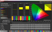 CalMAN ColorChecker: Warm