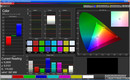 CalMAN color fidelity (target color space: sRGB)