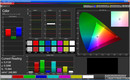 Color Management: Professional Picture