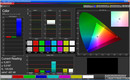 CalMAN color management. Color temperature: moderate / Saturation: moderate