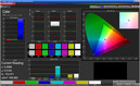 CalMAN color management. Color temperature: moderate / Saturation: low