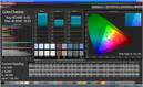 CalMAN Color Checker (target color space: sRGB)