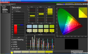 CalMan - color saturation