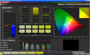 Saturation Sweeps (target color space sRGB, profile: standard)