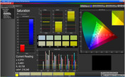 CalMan: color saturation