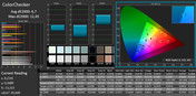 CalMAN - ColorChecker