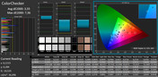 CalMAN - ColorChecker (calibrated)