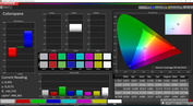 CalMAN Colorspace custom