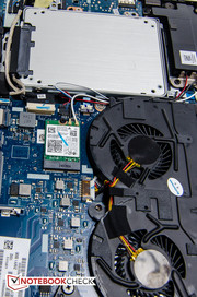 Dual fans keep things reasonably cool