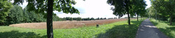 Primary camera panorama photo (click for original)