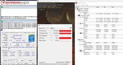 The Inspiron in the stress test
