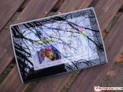 Reflections are a great ill, as in all tablets.