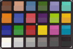 Screenshot of ColorChecker colors. Original colors are displayed in the lower half of each patch.