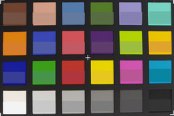 Screenshot of ColorChecker colors. Reference colors are displayed in the lower half.