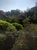 Primary camera photo (click for original)