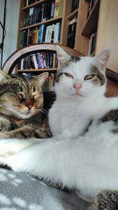 6 MP photo with front-facing camera (click for original)