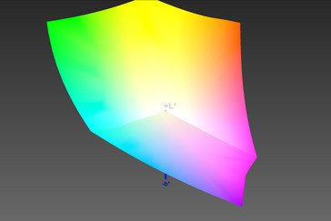 sRGB color space coverage: 100%