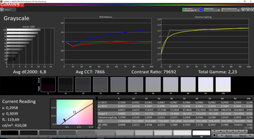 Grayscale (Custom, target color space: sRGB)