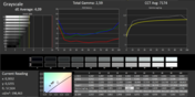 CalMAN Grayscale (before calibration, target color space sRGB)