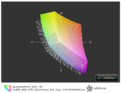 Vaio Pro 13 SVP-1321C5ER vs. sRGB