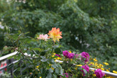 Reference: Canon EOS 450D (11 Megapixels)