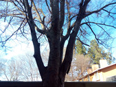 iOcean M6752 (12 MP)