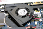 Case fan