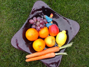 LG L40 Fruit