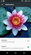 Color mode options