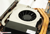 Left 60 mm GPU fan largest in size